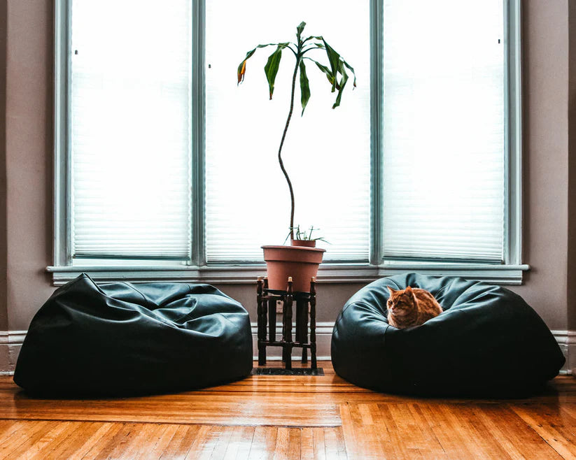 COMPANY 123 Black Beanbag