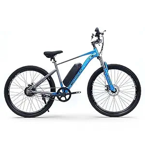 Youth X1 Mountain Electric Cycle