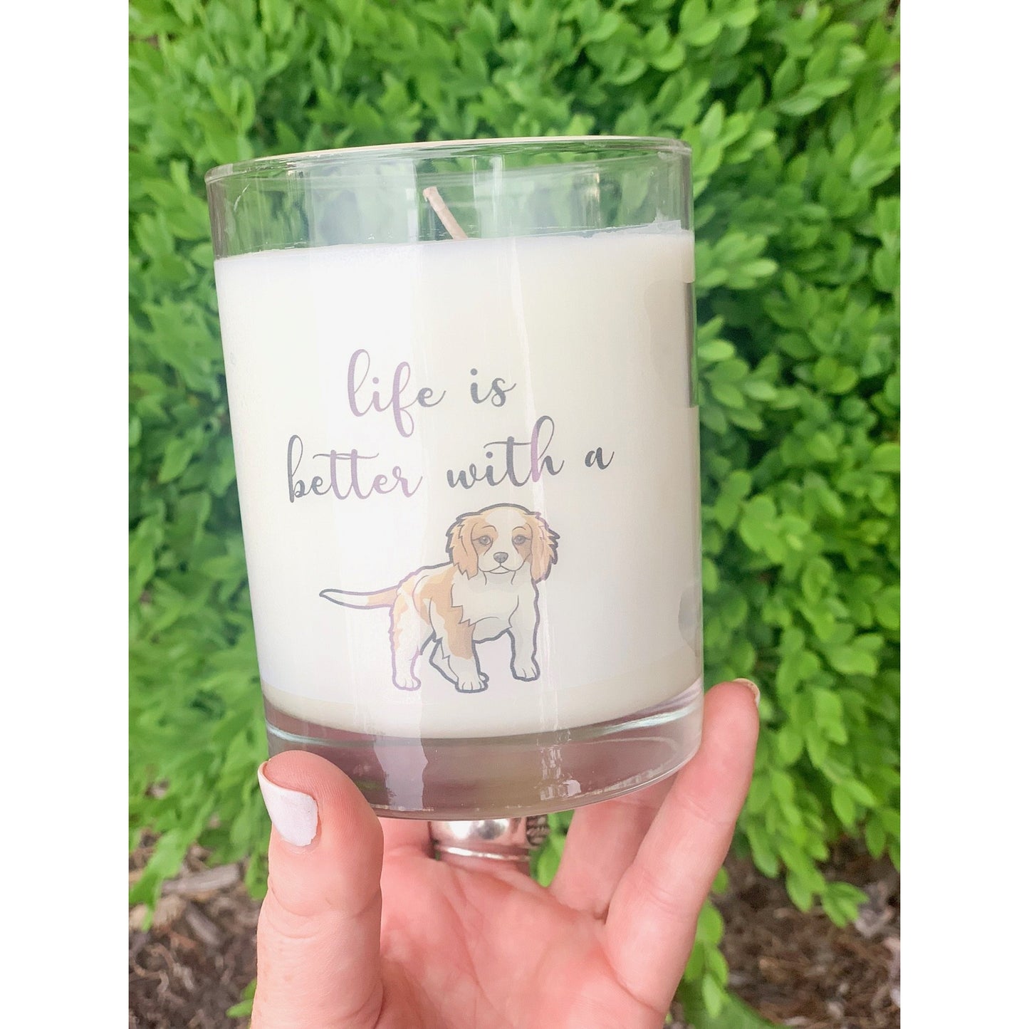 The Furry Friends Gift Box