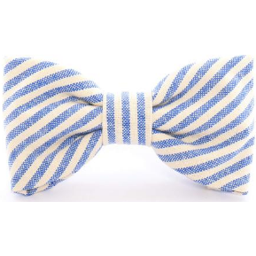 The Furry Friends Gift Box