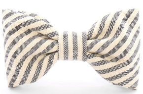 The Furry Friends Gift Box